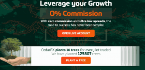 CedarFX – очередная брокерская лоховозка