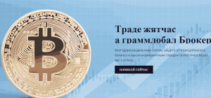 GrandInvest – новый шаблонный клон в сети