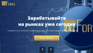 ECHForex – отзывы о брокере