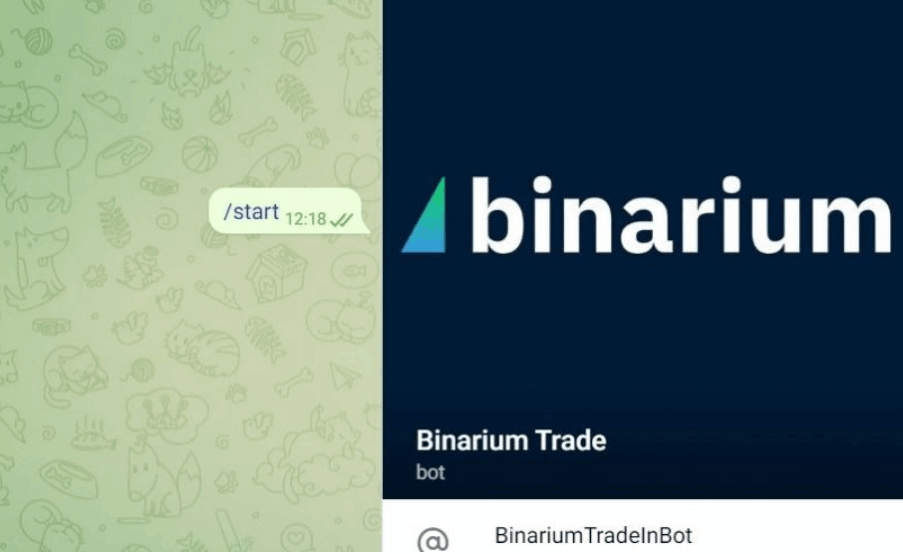 Binarium Trade (t.me/BinariumTradeInBot), Binarium Help (t.me/binarium_supp)