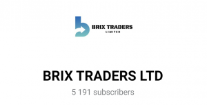 Brix Traders Ltd (t.me/BrixTraders_official_RU) заманивание в пирамиды!