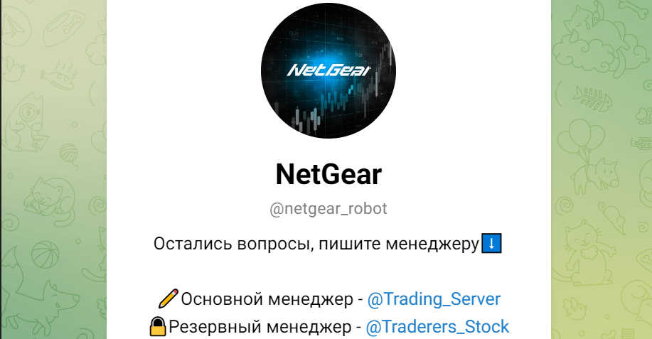 NetGear бот
