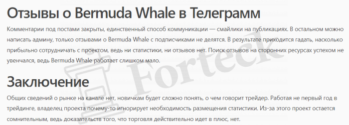 Bermuda Whale сомнительный канал 