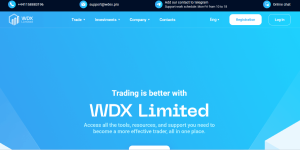 WDX Limited (wdx.ltd): обзор и отзывы
