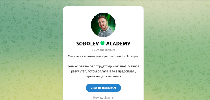 Sobolev Academy