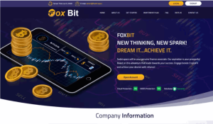 Foxbit (foxbit.space): обзор и отзывы