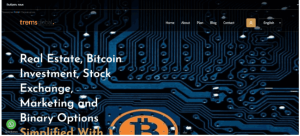 Tremsglobal Investment (tremsglobalinvestment.com): обзор и отзывы