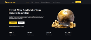Openpico (openpico.com): обзор и отзывы