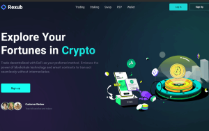 Rexub (rexub.com): обзор и отзывы