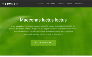 Maecenas (express-wallet.fun): обзор и отзывы