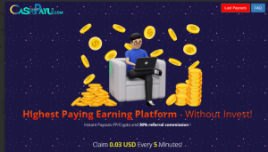 Cashpayu (cashpayu.com): обзор и отзывы