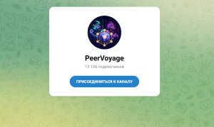 PeerVoyage