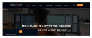 Trade Orient (tradeorient.com): обзор и отзывы