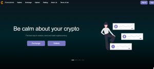 Anocoinex (anocoinex.pro)  шаблонный обменник для кидалова!