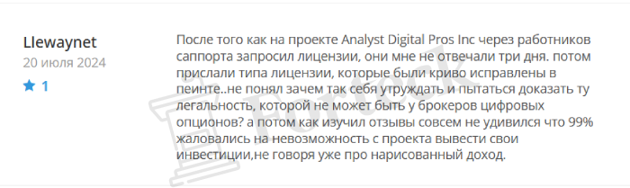 Analyst Digital Pros Inc  отзывы