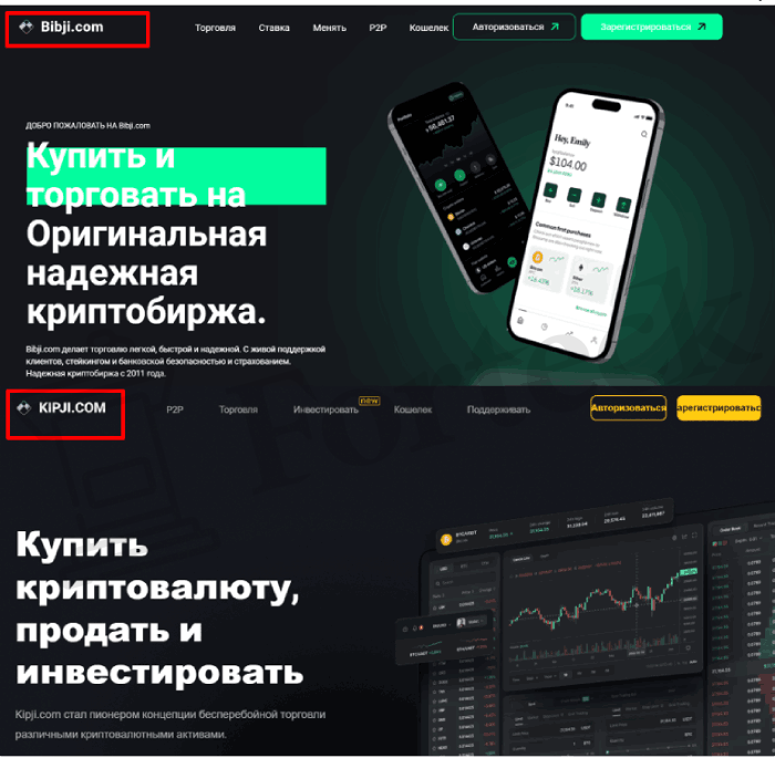 Bibji.com обман