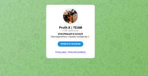 Profit-X | TEAM (@Nik_profix, @pulseswap_bot) кидалово со связкой!