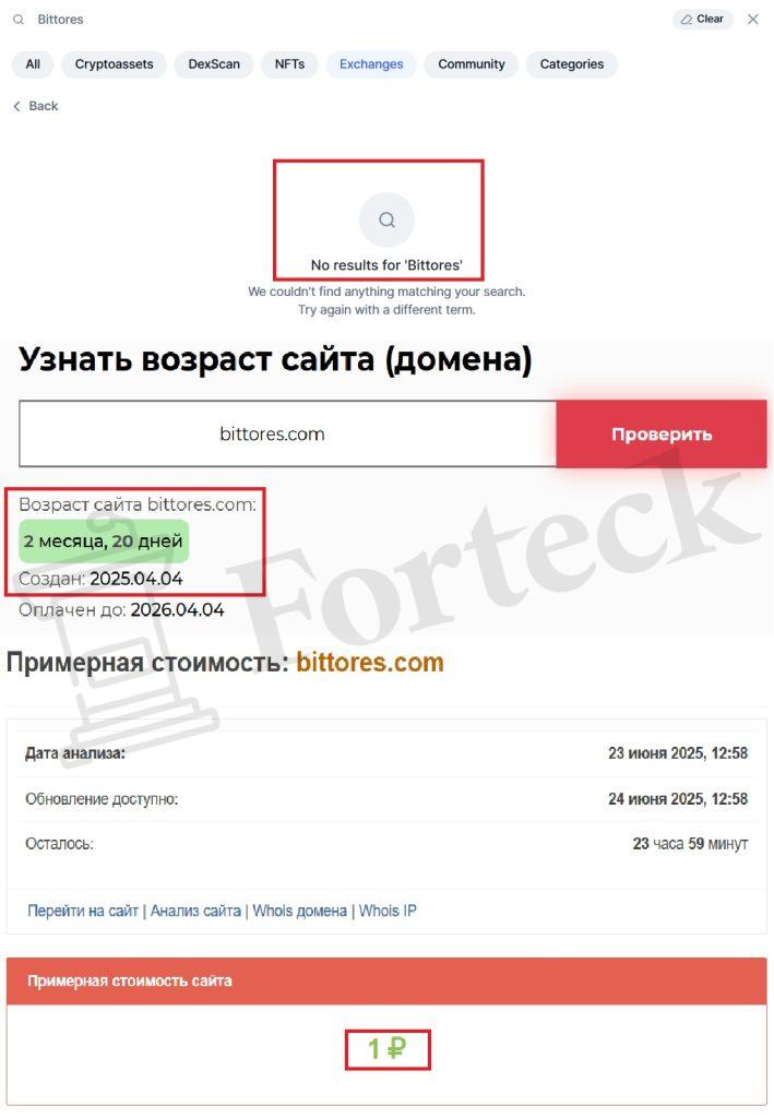 Bittores (bittores.com) – хитрая ловушка от мошенников! – 2
