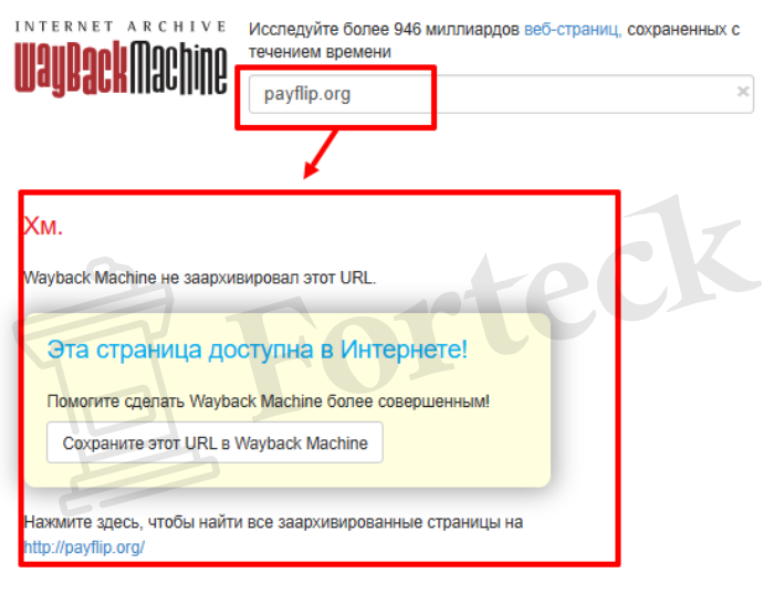 Мошеннический обменник PayFlip (payflip.org) Отзывы и возврат денег! – 4