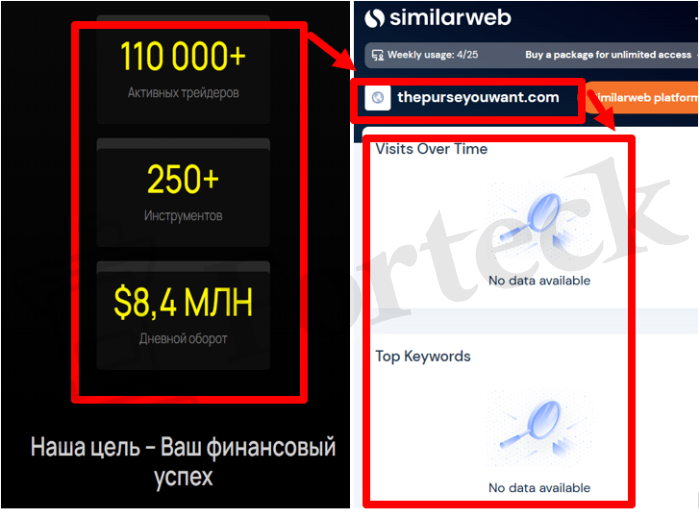 Мошеннический брокер ThePurseYouWant (thepurseyouwant.com) Отзывы и возврат денег! – 3