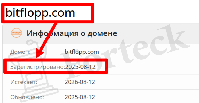 Мошенническая биржа BitFlopp (bitflopp.com) Отзывы и возврат денег! – 2