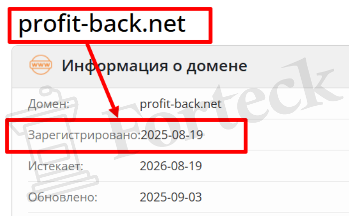 Мошеннический брокер Profit Back (workspace.profit-back.net) Отзывы и возврат денег! – 2