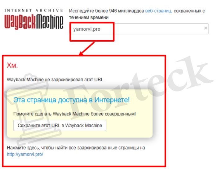 Мошеннический брокер Yamorvi (yamorvi.pro) Отзывы и возврат денег! – 4