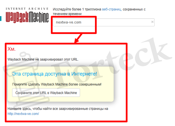 Мошеннический брокер Next Wave (nextwa-ve.com) Отзывы и возврат денег! – 4 Мошеннический брокер Next Wave (nextwa-ve.com) Отзывы и возврат денег! – 4