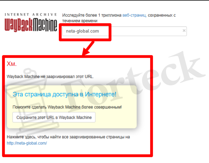 Мошеннический брокер Neta Global (neta-global.com) Отзывы и возврат денег! – 4