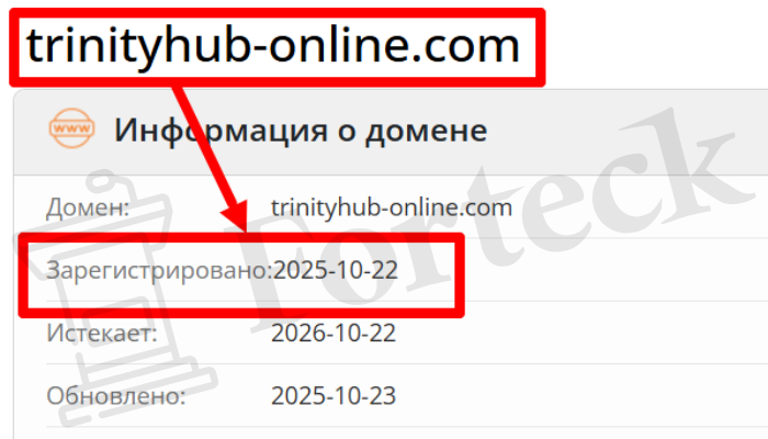 Мошеннический брокер Trinity Hub (trinityhub-online.com) Отзывы и возврат денег! – 2 Мошеннический брокер Trinity Hub (trinityhub-online.com) Отзывы и возврат денег! – 2